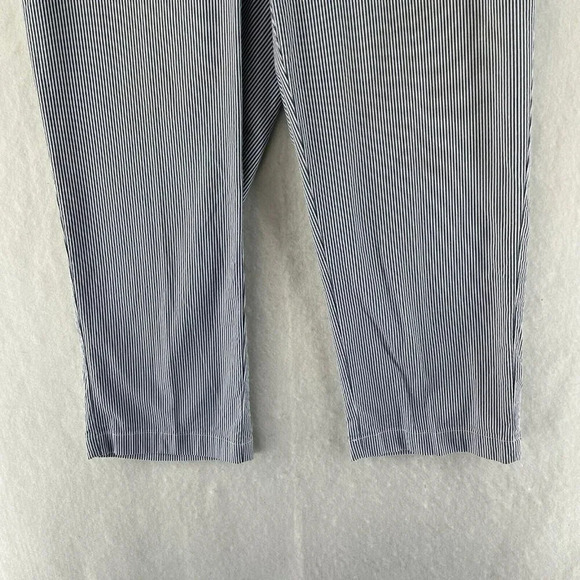 Lands' End Pants Women's Sz 10 Blue White Striped High-Rise Straight Leg Stretch - Picture 7 of 11